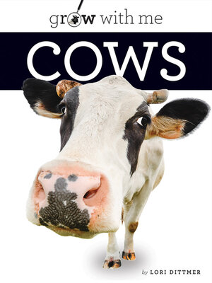 cover image of Cows